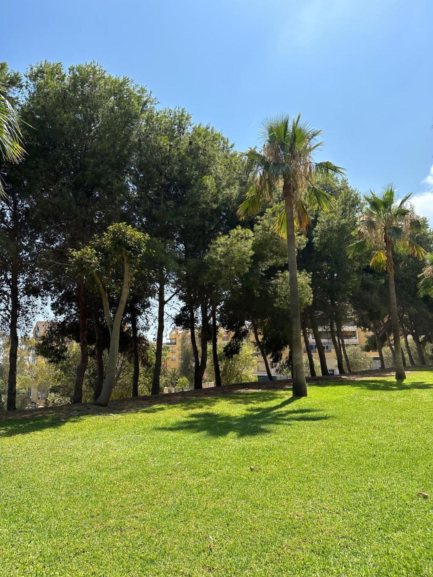 Leilighet Benalmadena Gamonal